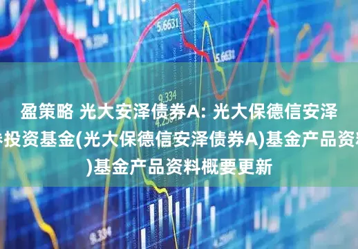 盈策略 光大安泽债券A: 光大保德信安泽债券型证券投资基金(光大保德信安泽债券A)基金产品资料概要更新