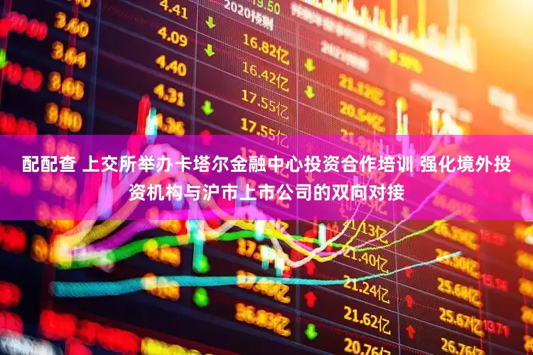 配配查 上交所举办卡塔尔金融中心投资合作培训 强化境外投资机构与沪市上市公司的双向对接