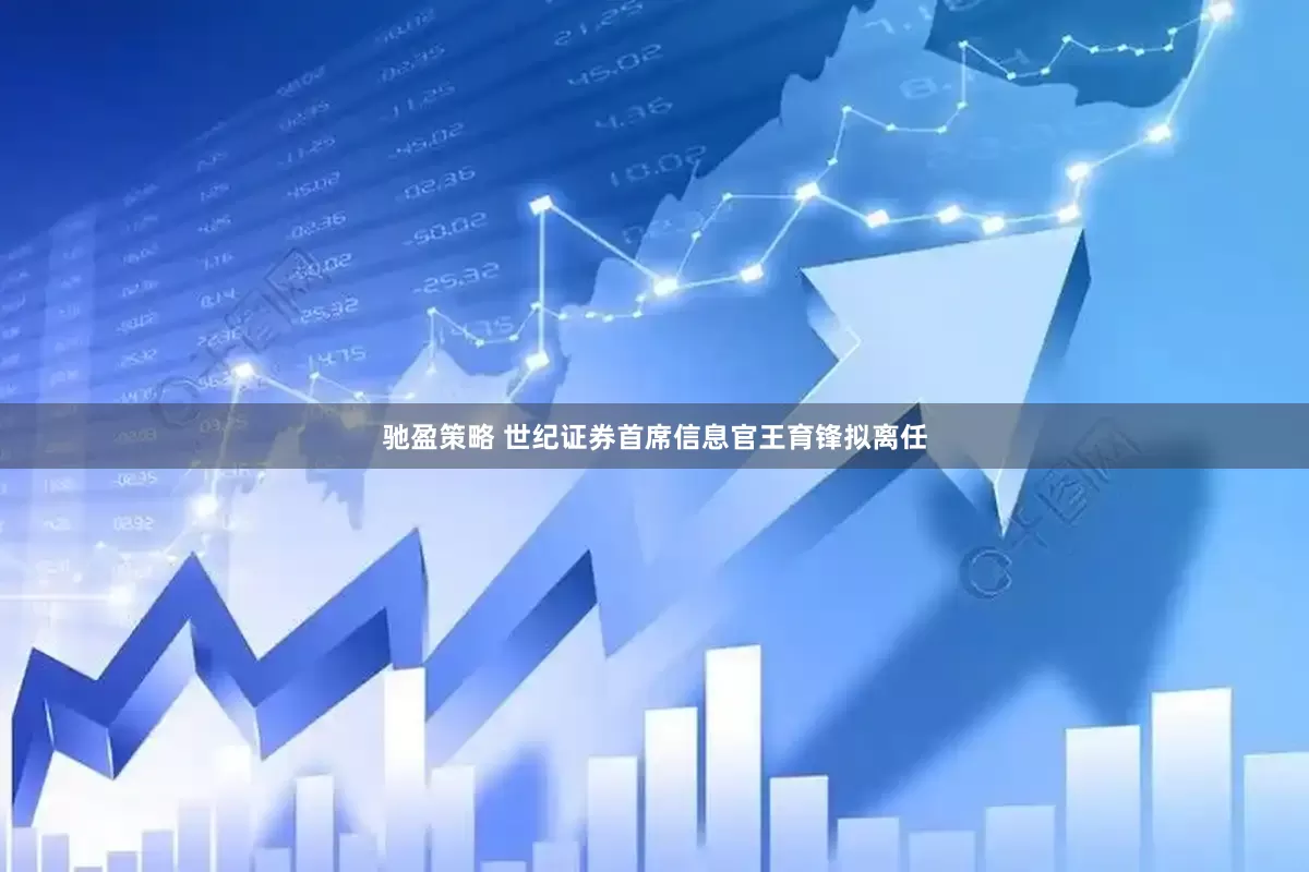 驰盈策略 世纪证券首席信息官王育锋拟离任