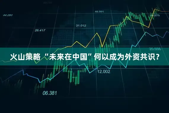 火山策略 “未来在中国”何以成为外资共识？