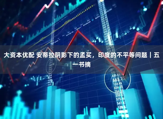 大资本优配 安蒂拉阴影下的孟买，印度的不平等问题｜五一书摘