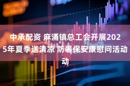 中承配资 麻涌镇总工会开展2025年夏季送清凉 防暑保安康慰问活动