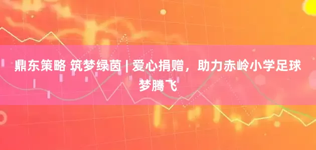 鼎东策略 筑梦绿茵 | 爱心捐赠，助力赤岭小学足球梦腾飞