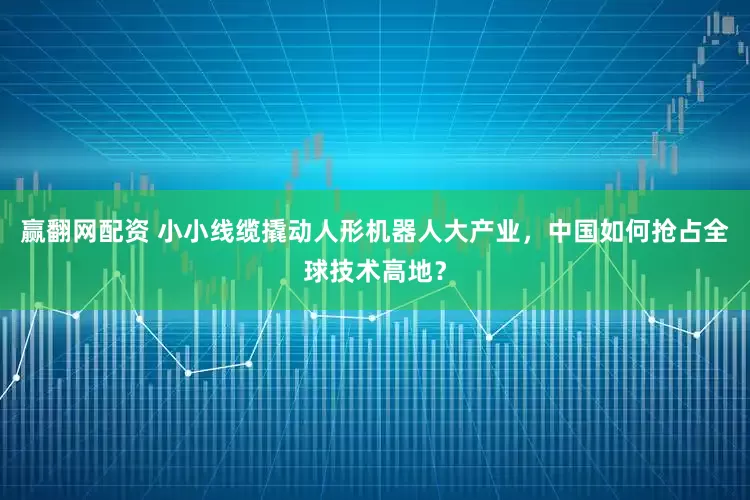 赢翻网配资 小小线缆撬动人形机器人大产业，中国如何抢占全球技术高地？