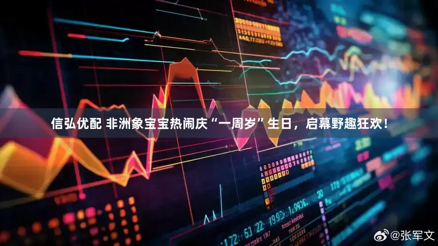 信弘优配 非洲象宝宝热闹庆“一周岁”生日，启幕野趣狂欢！