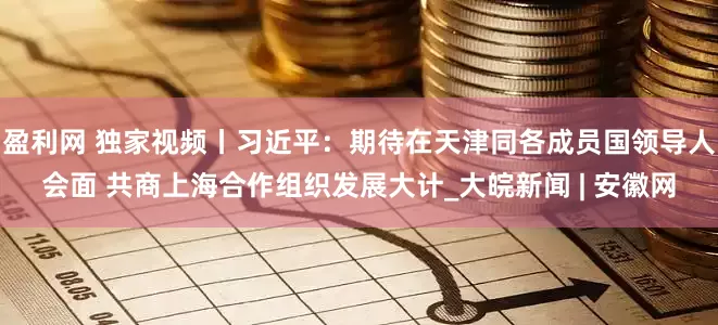 盈利网 独家视频丨习近平：期待在天津同各成员国领导人会面 共商上海合作组织发展大计_大皖新闻 | 安徽网