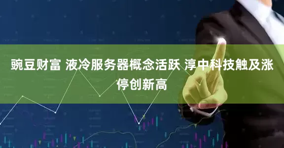 豌豆财富 液冷服务器概念活跃 淳中科技触及涨停创新高