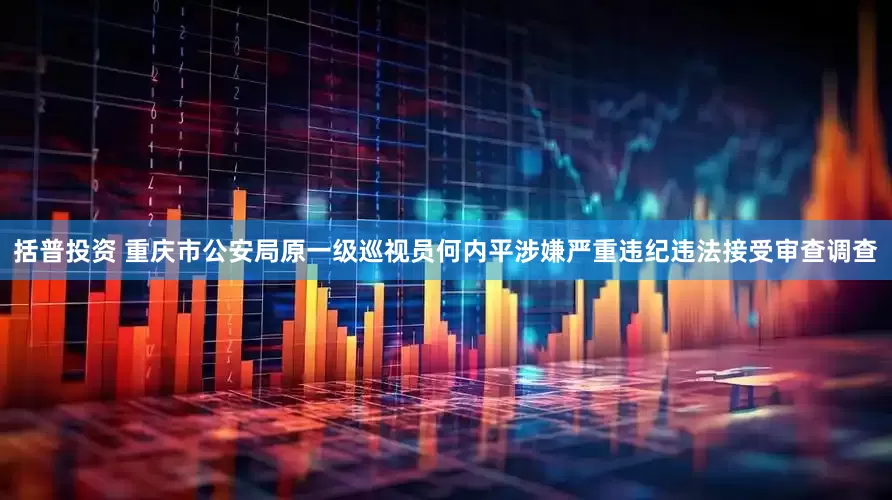 括普投资 重庆市公安局原一级巡视员何内平涉嫌严重违纪违法接受审查调查