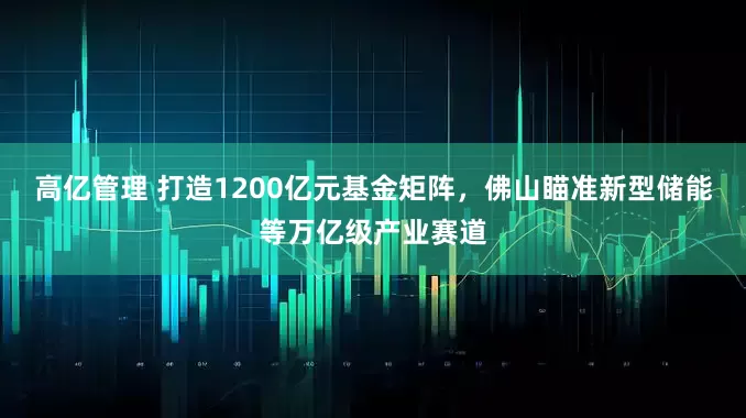 高亿管理 打造1200亿元基金矩阵，佛山瞄准新型储能等万亿级产业赛道