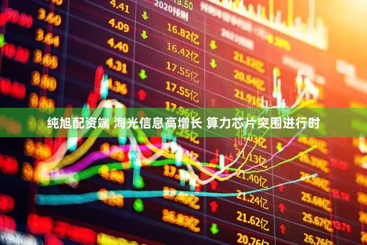 纯旭配资端 海光信息高增长 算力芯片突围进行时