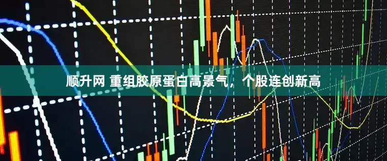 顺升网 重组胶原蛋白高景气，个股连创新高