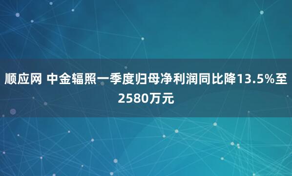 顺应网 中金辐照一季度归母净利润同比降13.5%至2580万元