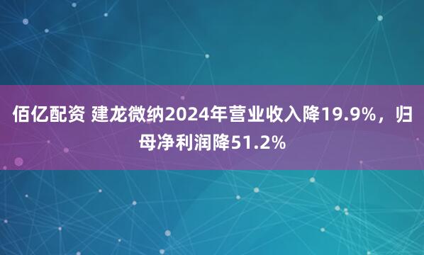 佰亿配资 建龙微纳2024年营业收入降19.9%，归母净利润降51.2%