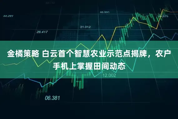 金橘策略 白云首个智慧农业示范点揭牌，农户手机上掌握田间动态