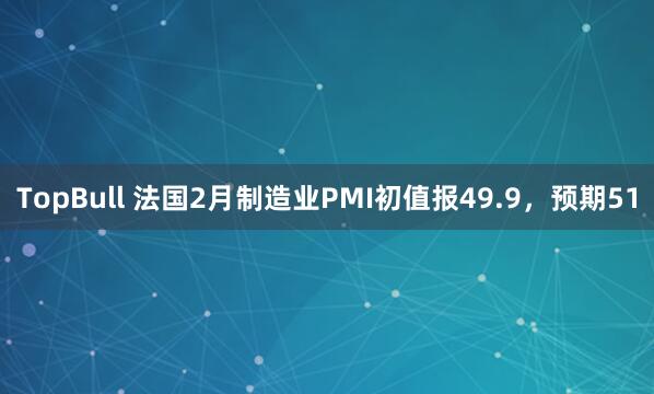 TopBull 法国2月制造业PMI初值报49.9，预期51